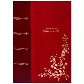 Семейное счастье. Крейцерова Соната