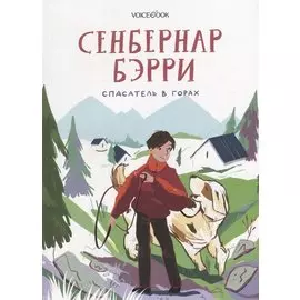 Сенбернар Бэрри