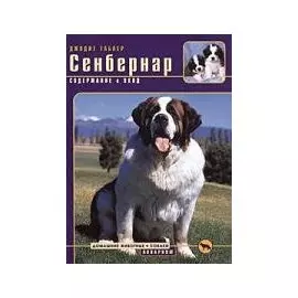 Сенбернар. Содержание и уход.
