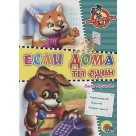 ЦК. ШКОЛА БЕЗОПАСНОСТИ. ЕСЛИ ДОМА ТЫ ОДИН