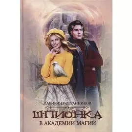 Шпионка в академии магии