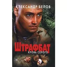 Штрафбат. Кровь Серого