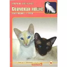 Сиамская кошка. Содержание и уход