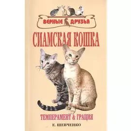 Сиамская кошка. Темперамент и грация