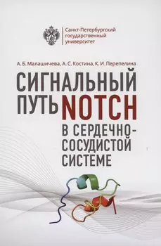 Сигнальный путь Notch в сердечно-сосудистой системе