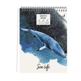 Скетчбук А4 60л "SKETCHBOOK. Синий кит" белый офсет, 100г/м2, тв.обложка, евроспираль