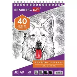 Скетчбук 145*205 40л белая бумага 120г/м2, гребень, жёстк.подложка, BRAUBERG ART DEBUT