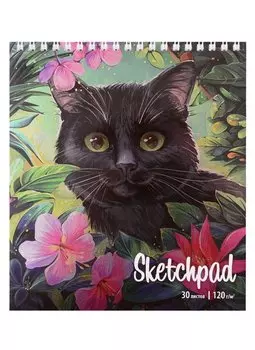 Скетчбук 168*195 30л "Кот" белый офсет, 120г/м2, спираль
