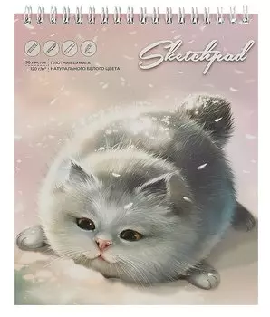 Скетчбук 168*195 30л "Серый пушистик" белый офсет, 120г/м2, спираль