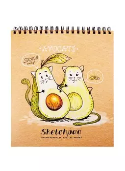 Скетчбук 168*195 40л "Авокадо" крафт бумага 80г/м2, карт.обл., тв.подложка, гребень