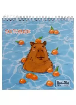 Скетчбук 190*190 48л "Капибара", жесткая подложка, гребень, блок 160г/м2