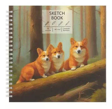 Скетчбук 195*195 40л "Утро в сосновом бору" белый офсет, 140г/м2, тв.обложка, евроспираль