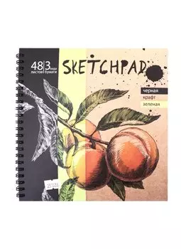 Скетчбук 195*195 48л "Абрикосы" черная, зеленая, крафт бумага 120 г/м2, 245 г/м2, 80 г/м2, карт.обл., гребень