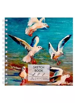Скетчбук 195*195 80л "Чайки" белый офсет, 100г/м2, тв.обложка, широкая евроспираль