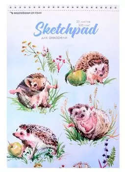 Скетчбук А4 20л Ёжики" акварельная, 200г/м2, обложка картон, гребень