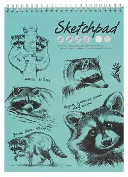 Скетчбук А4 40л "Енот-полоскун" белый офсет, 80г/м2, тв.обложка, спираль