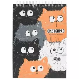 Скетчбук А4 80л "Смешные котики" белый офсет, 120г/м2, тв.обложка, спираль