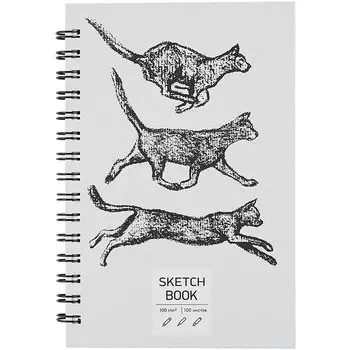 Скетчбук А5 100л "SKETCHBOOK. Кошки", 100г/м2, евроспираль