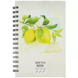 Скетчбук А5 100л "SKETCHBOOK. Лимоны", 100г/м2, евроспираль