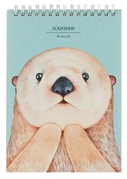 Скетчбук А5 40л "Для эскизов 1" крафт-бумага, 80 г/м2, евроспираль