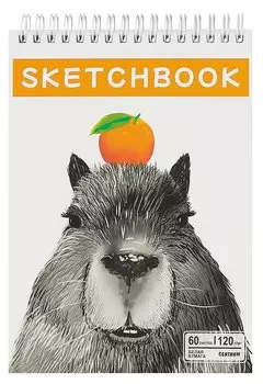 Скетчбук А5 60л "Капибара" гребень, белый офсет, 120г/м2