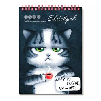 Скетчбук А5 60л "Грустный кот" белый офсет, 100г/м2, тв.обложка, гребень