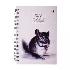 Скетчбук А5 60л "SKETCHBOOK. Шиншилла", 120г/м2, софт. тач, евроспираль