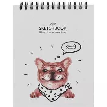 Скетчбук А6+ 125*160 40л "Привет" белый офсет, 100г/м2, тв.обложка, евроспираль