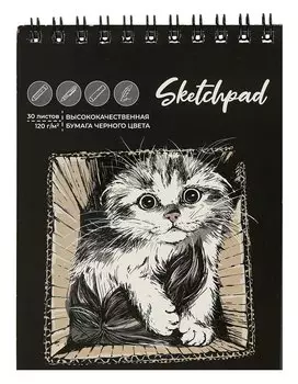 Скетчбук А6 30л "Котик" черн.внутр.блок, 120г/м2, гребень