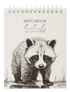 Скетчбук А6+ 40л "Енотик" 100г/м2, мат.ламинация, евроспираль, 7БЦ, офсет