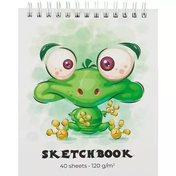 Скетчбук А6 40л "Лягушка" 120г/м2, тв.обложка, спираль
