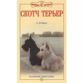 Скотч терьер