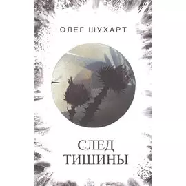 След тишины