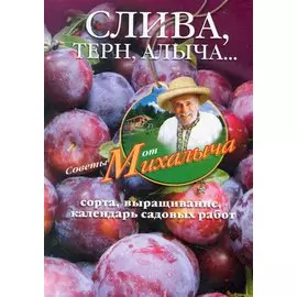 Слива, терн, алыча... Сорта, выращивание, календарь садовых работ