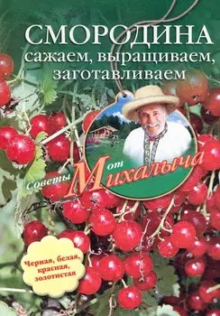 Смородина. Сажаем, выращиваем, заготавливаем