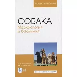 Собака. Морфология и биохимия