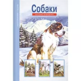 Собаки.