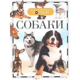 Собаки