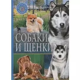 Собаки и щенки