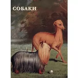 Собаки. Набор открыток