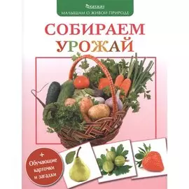 Собираем урожай (+обуч.карточки и загадки)