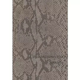 Социологические этюды