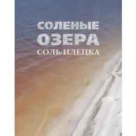 Соленые озера Соль-Илецка