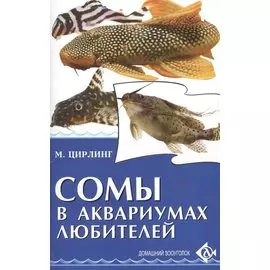 Сомы в аквариумах любителей