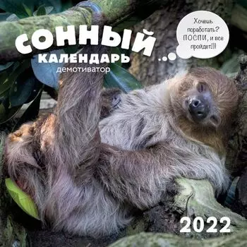 Сонный календарь демотиватор. Календарь настенный на 2022 год (300х300 мм)