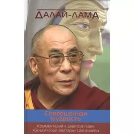 Совершенная мудрость. Комментарий к девятой главе «Бодхичарья-аватары» Шантидевы