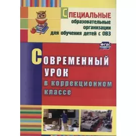 Современный урок в коррекционном классе. ФГОС. 2-е издание, переработанное