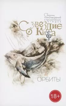 Созвездие кита. Орбиты