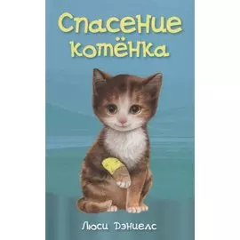 Спасение котенка