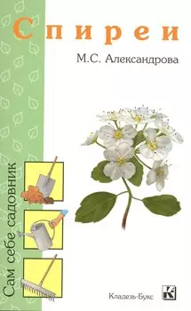 Спиреи